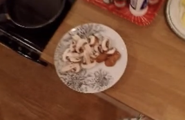 P01_09_left_plate_93267_94233